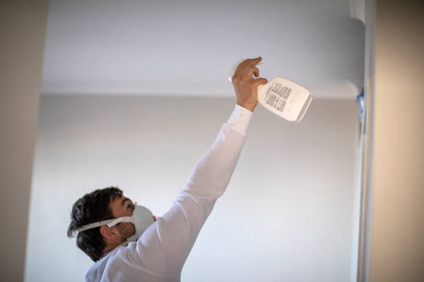 Best Home Mold Removal  in Carrollton, MO