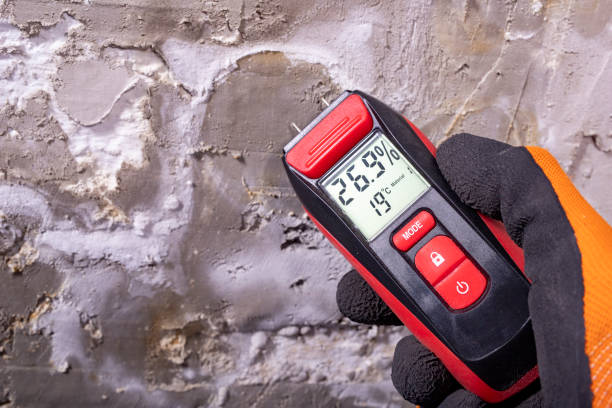Best Toxic Mold Removal  in Carrollton, MO